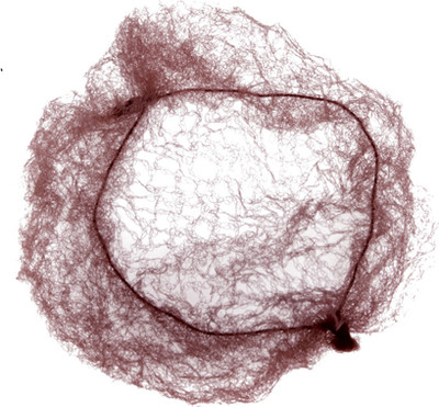 Cеточка для волос Dewal CE104 (2шт, темно-коричневый) - 