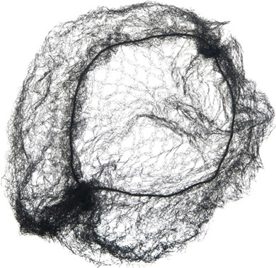 Cеточка для волос Dewal CE100 (2шт, черный) - 