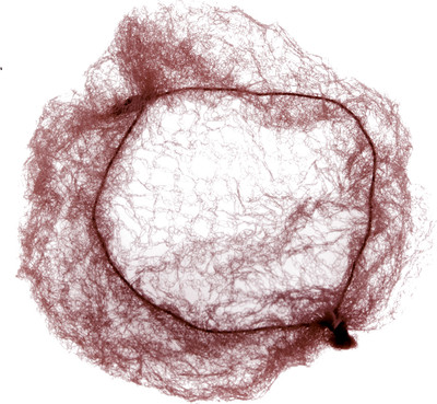 Cеточка для волос Dewal CE054 (2шт, темно-коричневый) - 