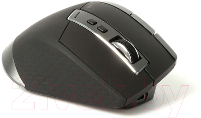 Изображение товара Мышь Rapoo MT750S (черный)