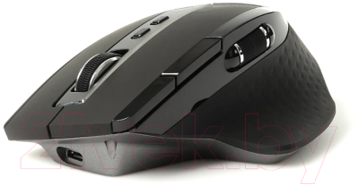 Изображение товара Мышь Rapoo MT750S (черный)
