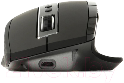 Изображение товара Мышь Rapoo MT750S (черный)