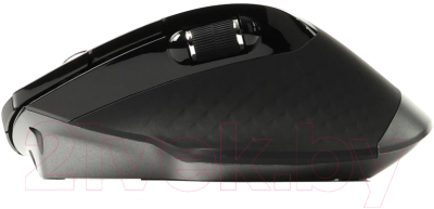 Изображение товара Мышь Rapoo MT750S (черный)