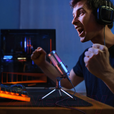 Изображение товара Микрофон Maono AU-PM461TR RGB