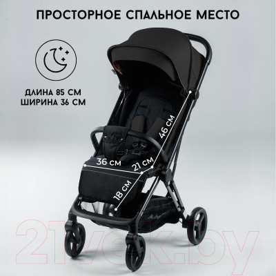 Детская прогулочная коляска Bubago Axi / BG 115-1 (черный)