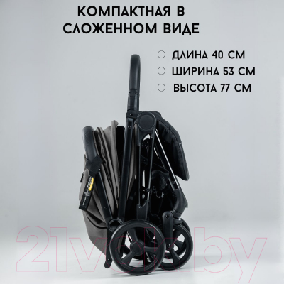 Детская прогулочная коляска Bubago Axi / BG 115-2 (серый)