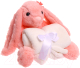 Мягкая игрушка Milo Toys Зайка с пледом / 7752891 (розовый) - 