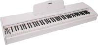 Цифровое фортепиано Aramius API-120 MWH - 