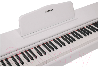 Цифровое фортепиано Aramius API-120 MWH