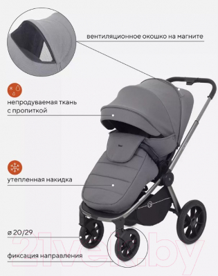 Детская универсальная коляска Rant Flex Pro 2 в 1 2023 / RA074 (серый)
