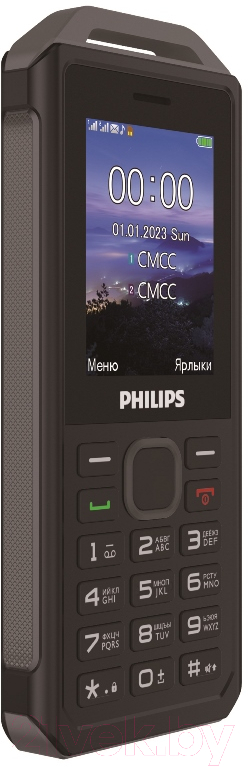 Мобильный телефон Philips E2317 Xenium / CTE2317DG/00