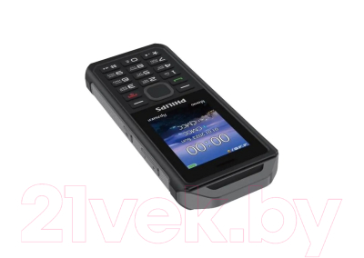 Мобильный телефон Philips E2317 Xenium / CTE2317DG/00 (темно-серый)