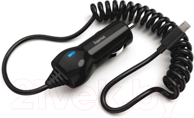 Зарядное устройство автомобильное Hama H-183248 / 00183248 (черный)