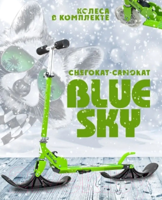 Самокат-снегокат Playshion Bluesky-SNW Raccoon / WS-SX003GZ (зеленый)