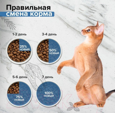 Сухой корм для кошек Doctrine Беззерновой для котят с лососем и белой рыбой / 57890 (10кг)
