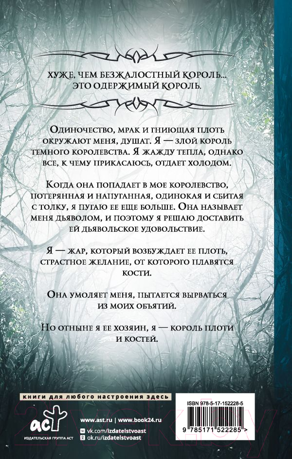 Художественная книга АСТ Король плоти и костей (Зандер Л.) — фото 2