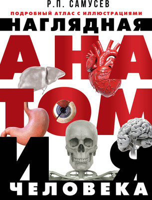 

Энциклопедия, Наглядная анатомия человека. Подробный атлас