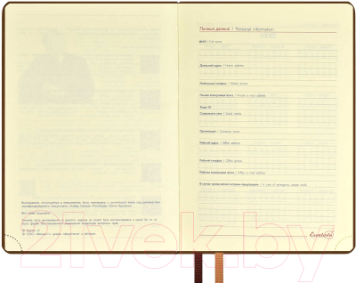 Ежедневник Escalada Тиволи Глосс 2024 / 63751 (коричневый)
