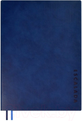Ежедневник Escalada Флоттер / 63931 (синий)