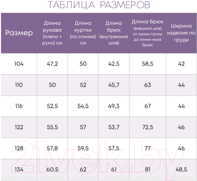 Комплект прогулочной детской одежды Batik Морти 452-24з-1 (р-р 104-56, серый/синий)