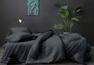 Изображение товара Простыня Бояртекс Поплин 160x200x35 (18-0201 TPX графит)