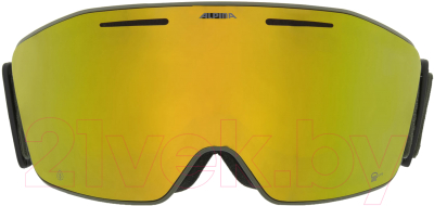 Маска горнолыжная Alpina Sports Nendaz / A7291871 (Q-Lite Olive Matt/Q-Lite Gold)