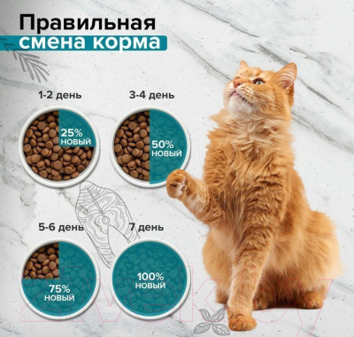 Сухой корм для кошек Doctrine Беззерновой для стерилизованных с индейкой и лососем / 57264 (3кг)
