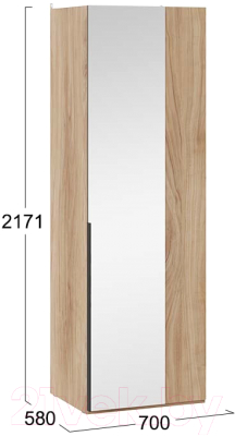 Шкаф ТриЯ Порто СМ-393.07.007 с 1 зеркальной дверью (яблоня беллуно/графит)