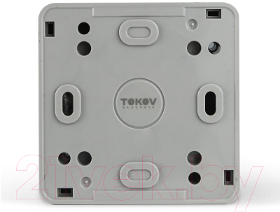 Выключатель Tokov Electric TKE-NX-P1-C06-IP54