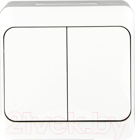 Выключатель Tokov Electric TKE-NX-V2-C01-IP54