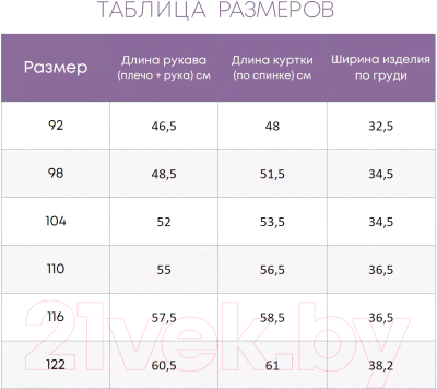 Комбинезон для малышей Batik Макси Флисовый 486-24з-1 (р-р 98-56, черный)