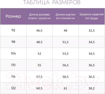 Комбинезон детский Batik Макси Флисовый 486-24з-2 (р-р 110-60, голубой)