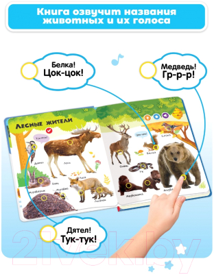 Музыкальная книга BertToys Нажималка Животные / 9785604652589