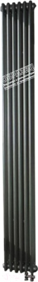 Радиатор стальной Arbonia RRN 2180/4 89 SF NIC C 006 (правый, нижнее подключение)