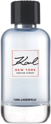 Туалетная вода Karl Lagerfeld Places New York (100мл)