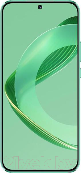 Смартфон Huawei Nova 11 8GB/256GB / FOA-LX9 (зеленый)