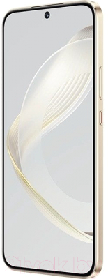 Смартфон Huawei Nova 11 8GB/256GB / FOA-LX9 (золото)