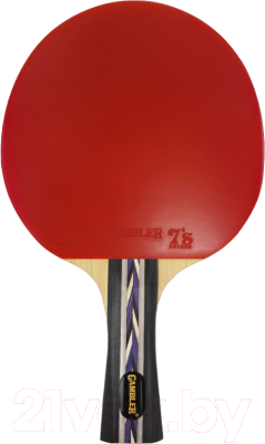 Ракетка для настольного тенниса Gambler 3 Star / GRC-23 (коническая)