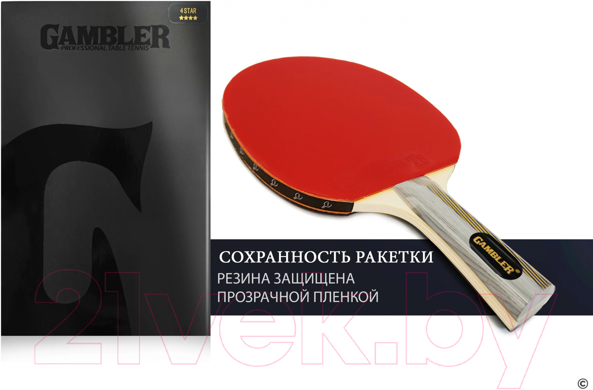 Ракетка для настольного тенниса Gambler 4 Star / GRC-24