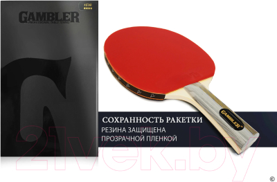 Ракетка для настольного тенниса Gambler 4 Star / GRC-24 (коническая)