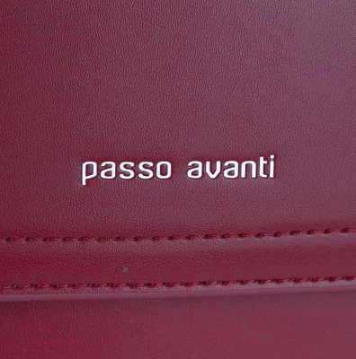 Сумка Passo Avanti 883-5153-RED (красный)