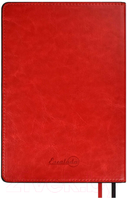 Ежедневник Escalada Сариф / 63975 (160л, красный)