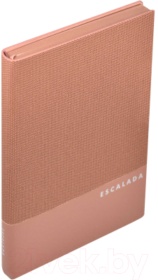 Ежедневник Escalada Пике / 63992 (160л, пепельно-розовый)