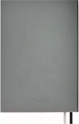 Ежедневник Escalada Софт-Тач / 63994 (160л, серый металлик)
