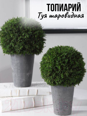 Искусственное растение Merry Bear Home Decor Туя шаровидная / KDA025