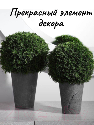 Искусственное растение Merry Bear Home Decor Туя шаровидная / KDA025