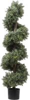 Искусственное растение Merry Bear Home Decor Самшит спиралевидный / KM5312 - 