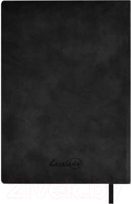 Ежедневник Escalada Тиволи / 63918 (160л, черный)
