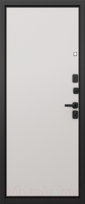 Входная дверь Mastino T4 Trust Eco PP черный муар металлик/авокадо/эмаль белоснежный (96x205, правая)