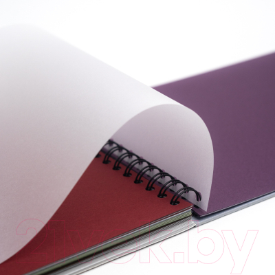 Изображение товара Скетчбук Малевичъ GrafArt / 401604 (20л)